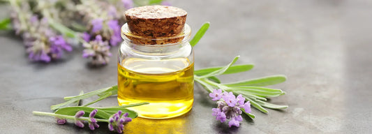 Lavender Infused Oil