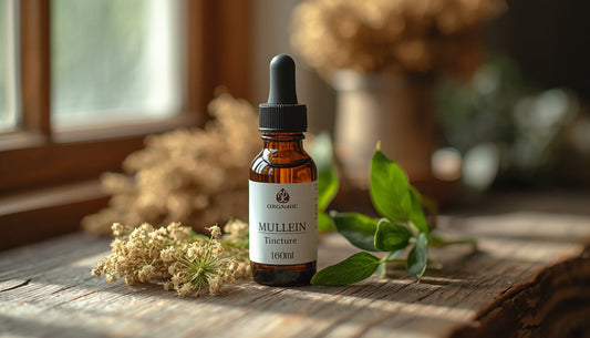 What to Look for When Buying a Mullein Herbal Tincture