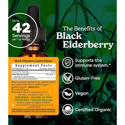 Herb Pharm Black Elderberry, Alcohol-Free 30ml Organic