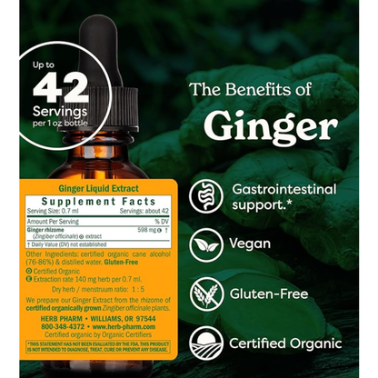 Herb Pharm Ginger 30ml Organic